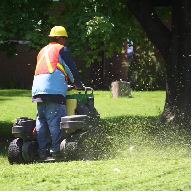 Rider mower maintaining an urban public park