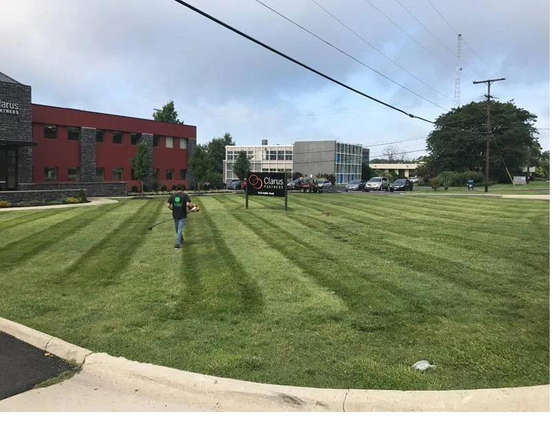Freshly striped commercial lawn at an auto dealership